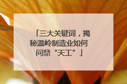 三大关键词，揭秘温岭制造业如何问鼎“天工”