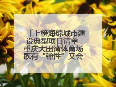 上榜海绵城市建设典型项目清单 重庆大田湾体育场既有“弹性”又会“呼吸”