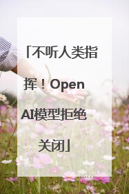 不听人类指挥！OpenAI模型拒绝关闭