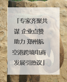专家齐聚共谋 企业点赞助力 郑州航空港跨境电商发展引热议