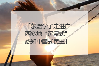 东盟学子走进广西多地“沉浸式”感知中国式民主