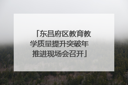 东昌府区教育教学质量提升突破年推进现场会召开