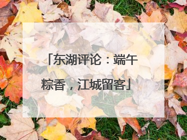 东湖评论：端午粽香，江城留客