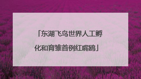 东湖飞鸟世界人工孵化和育雏首例红嘴鸥