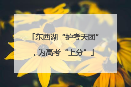 东西湖“护考天团”，为高考“上分”