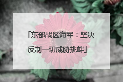 东部战区海军：坚决反制一切威胁挑衅