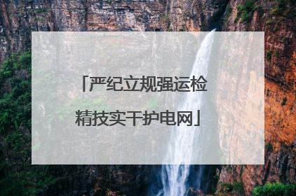 严纪立规强运检 精技实干护电网