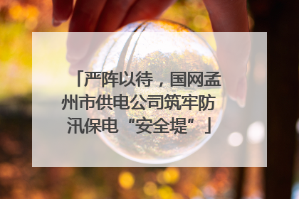 严阵以待，国网孟州市供电公司筑牢防汛保电“安全堤”