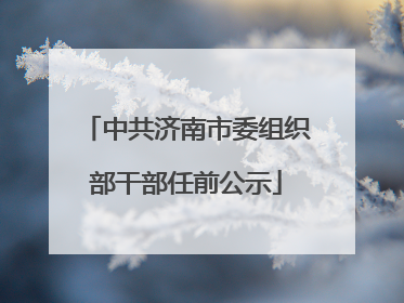 中共济南市委组织部干部任前公示