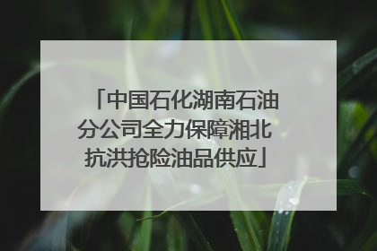 中国石化湖南石油分公司全力保障湘北抗洪抢险油品供应