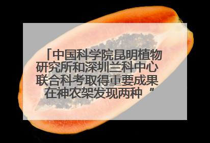 中国科学院昆明植物研究所和深圳兰科中心联合科考取得重要成果 在神农架发现两种“国保”级兰花