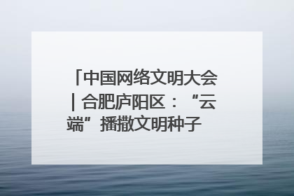 中国网络文明大会｜合肥庐阳区：“云端”播撒文明种子 共建清朗网络空间