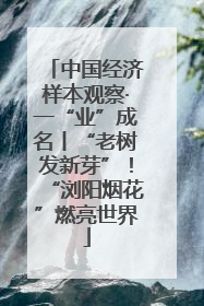 中国经济样本观察·一“业”成名丨“老树发新芽”！“浏阳烟花”燃亮世界