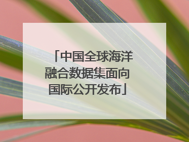 中国全球海洋融合数据集面向国际公开发布