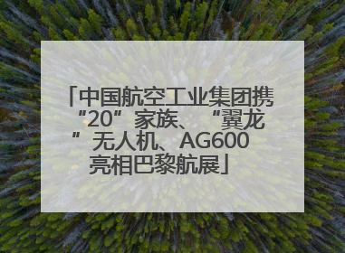 中国航空工业集团携“20”家族、“翼龙”无人机、AG600亮相巴黎航展