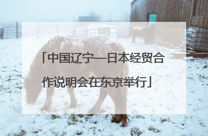中国辽宁—日本经贸合作说明会在东京举行