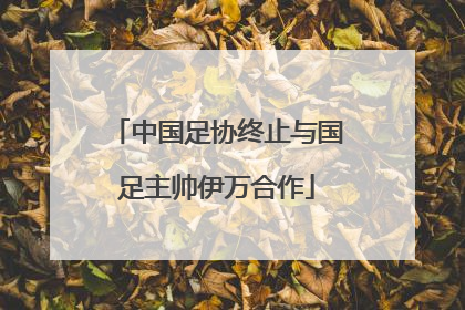 中国足协终止与国足主帅伊万合作