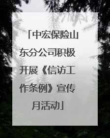 中宏保险山东分公司积极开展《信访工作条例》宣传月活动