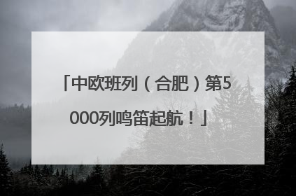 中欧班列（合肥）第5000列鸣笛起航！
