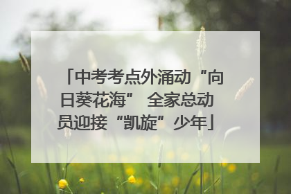中考考点外涌动“向日葵花海” 全家总动员迎接“凯旋”少年