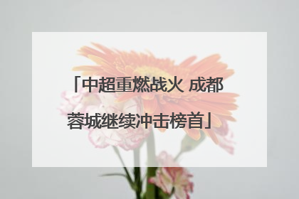 中超重燃战火 成都蓉城继续冲击榜首