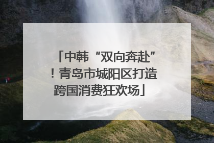 中韩“双向奔赴”！青岛市城阳区打造跨国消费狂欢场