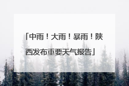 中雨！大雨！暴雨！陕西发布重要天气报告