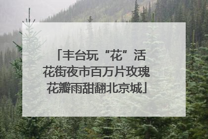 丰台玩“花”活 花街夜市百万片玫瑰花瓣雨甜翻北京城