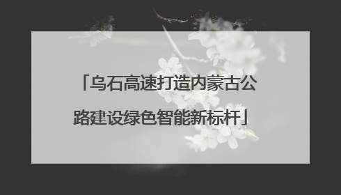 乌石高速打造内蒙古公路建设绿色智能新标杆