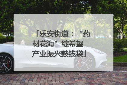 乐安街道：“药材花海”绽希望 产业振兴鼓钱袋