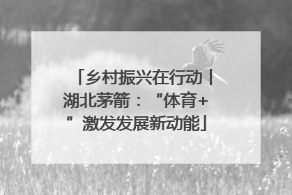乡村振兴在行动丨湖北茅箭：“体育+”激发发展新动能