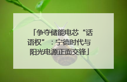 争夺储能电芯“话语权”：宁德时代与阳光电源正面交锋