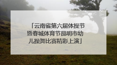 云南省第六届体操节暨春城体育节昆明市幼儿操舞比赛精彩上演