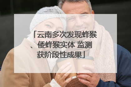云南多次发现蜂猴、倭蜂猴实体 监测获阶段性成果