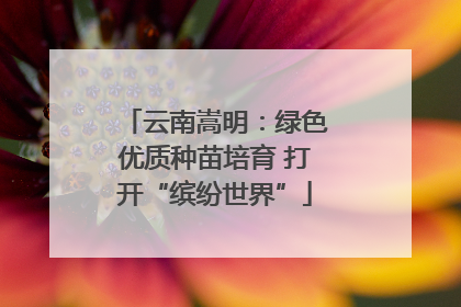 云南嵩明：绿色优质种苗培育 打开“缤纷世界”