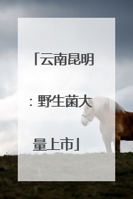 云南昆明：野生菌大量上市