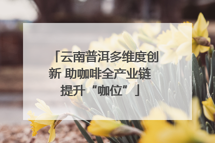 云南普洱多维度创新 助咖啡全产业链提升“咖位”