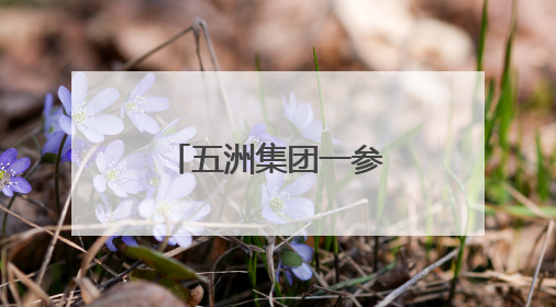 五洲集团一参建项目获奖