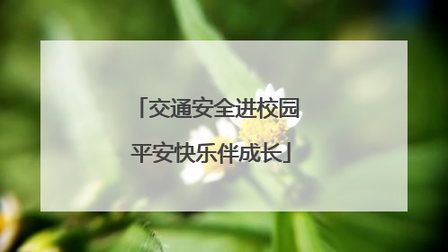 交通安全进校园 平安快乐伴成长