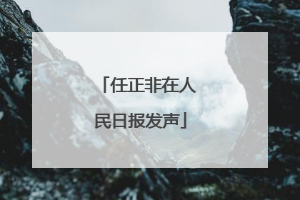 任正非在人民日报发声
