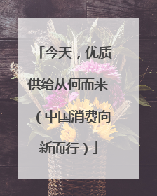 今天，优质供给从何而来（中国消费向新而行）