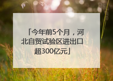 今年前5个月，河北自贸试验区进出口超300亿元
