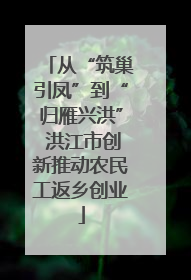 从“筑巢引凤”到“归雁兴洪” 洪江市创新推动农民工返乡创业