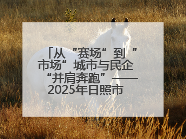 从“赛场”到“市场”城市与民企“并肩奔跑”——2025年日照市民营企业职工运动会亮点观察