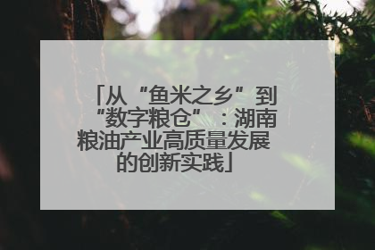 从“鱼米之乡”到“数字粮仓”：湖南粮油产业高质量发展的创新实践