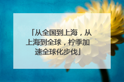 从全国到上海，从上海到全球，柠季加速全球化步伐