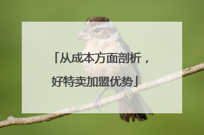 从成本方面剖析，好特卖加盟优势