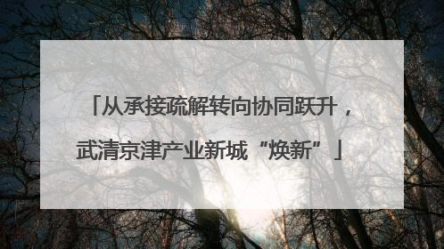 从承接疏解转向协同跃升，武清京津产业新城“焕新”