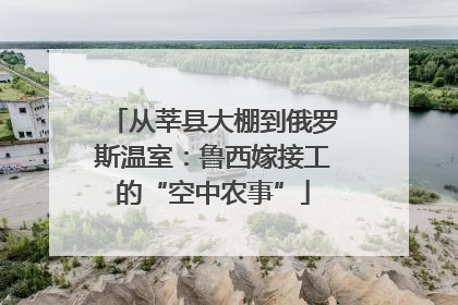 从莘县大棚到俄罗斯温室：鲁西嫁接工的“空中农事”