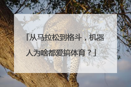 从马拉松到格斗，机器人为啥都爱搞体育？